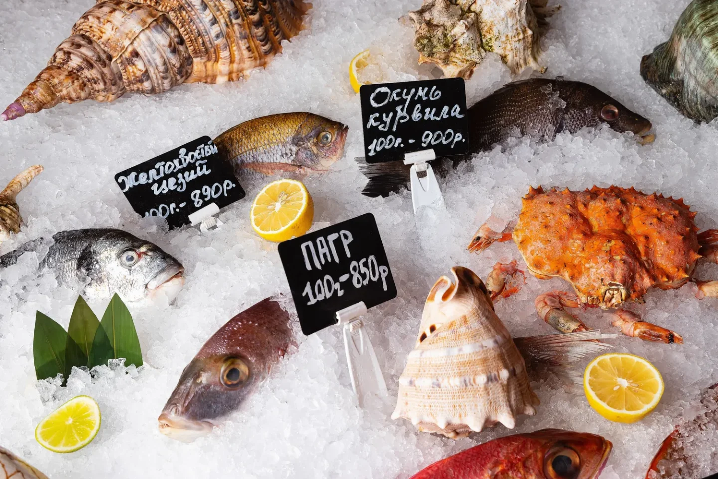 Свежая рыба Fish Bar