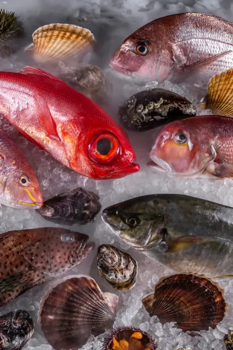 Свежая рыба на ледяной витрине в итальянском рыбном ресторане LureMe в центре Москвы